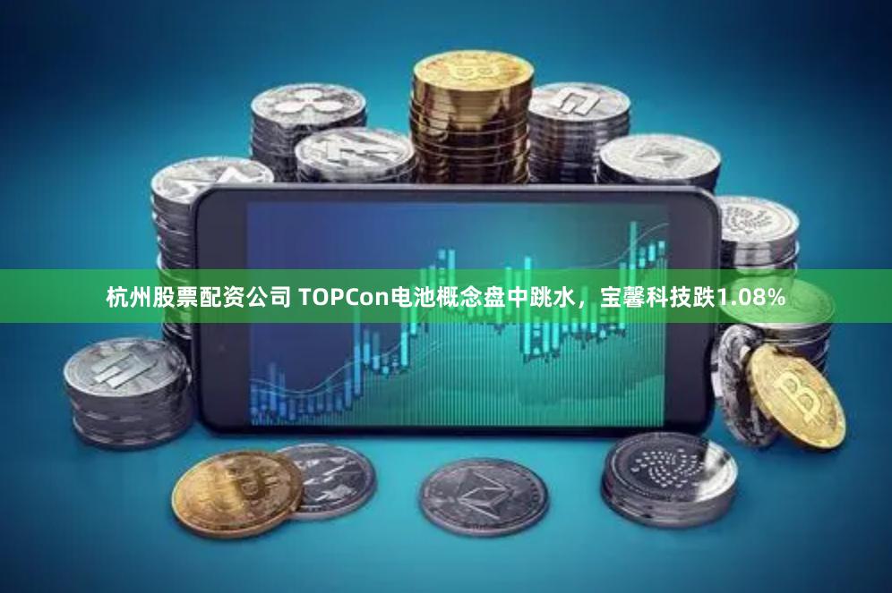 杭州股票配资公司 TOPCon电池概念盘中跳水，宝馨科技跌1.08%