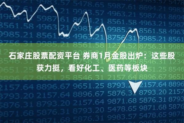 石家庄股票配资平台 券商1月金股出炉：这些股获力挺，看好化工、医药等板块